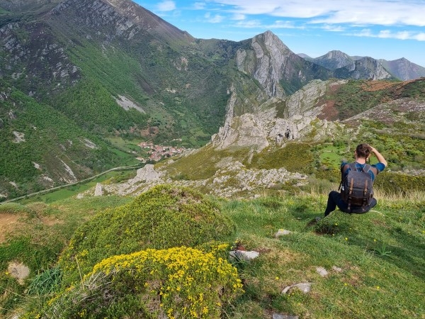 Avistamiento del oso pardo, una excelente excusa para recorrer los Parques Naturales de Asturias