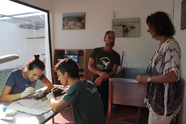Olga García visita el Hospital de Fauna Salvaje de AMUS en Villafranca de los Barros y libera a 'Orel'