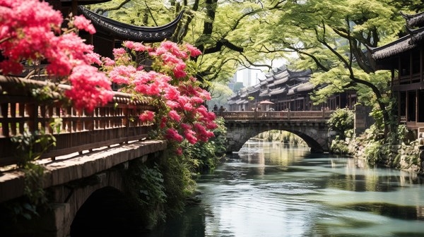 Región de Zhejiang, cuando el pasodoble ayuda a promocionar una de las más bellas zonas de China