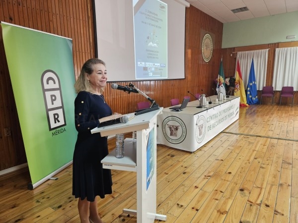 La futura Ley de Convivencia Escolar incluirá el reconocimiento a la autoridad del docente