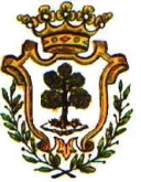 FIRA DE SANT JOAN I SANT PERE 2011