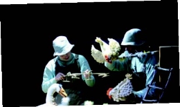 La Carreta Teatro, presenta L’aneguet lleig