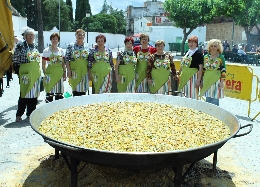 Setmana Cultural l'Alcudia de les Persones Majors