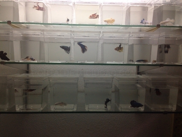 Productos y servicios