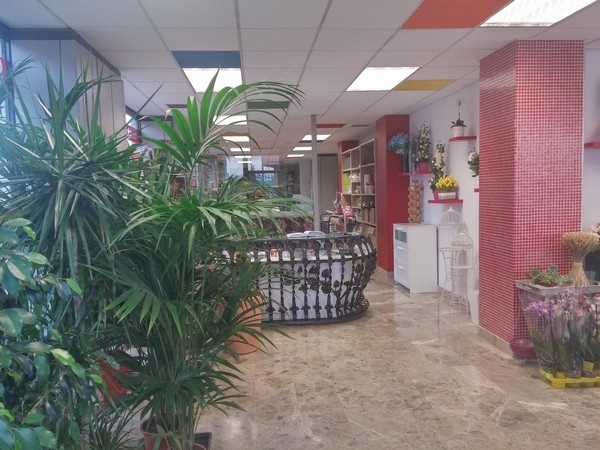 Floristería Alzira Carol