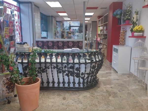 Productos y servicios