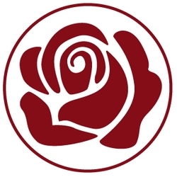 Floristería Alzira Carol