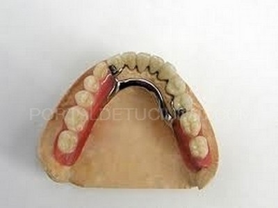 Productos y servicios