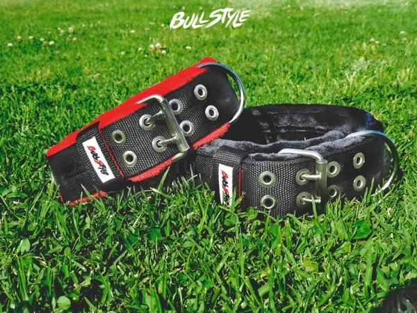 Collares personalizados para perros Bull Style