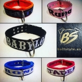 collares con nombre de mascota