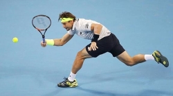 David Ferrer cae ante Tomic en su debut en Shanghái