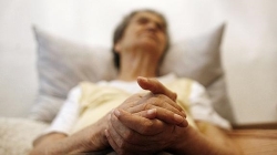Identifican una proteína clave para tratar el alzheimer