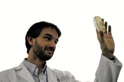 Científicos valencianos inician ensayos en humanos para acabar con la caries