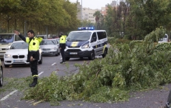 El temporal causa un herido grave, inunda calles y obliga a cerrar parques infantiles