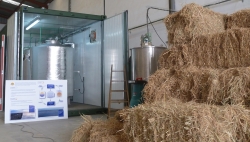 Ponen en marcha la primera planta que genera energía limpia a partir de la paja del arroz