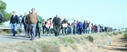 Unas 500 personas se manifiestan contra las plantas de Guadassuar