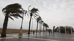 Rachas de viento de 100 km/h azotarán desde hoy el interior de la provincia de Valencia