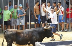 El alcalde de Silla deniega festejos de bous un mes antes de celebrar el referéndum