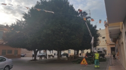 La Plaça Sant Antoni de Benifaió es prepara per a acollir este cap de setmana la festa en honor al patró dels animals