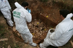 Detenidas tres personas tras el hallazgo del cadáver de un hombre enterrado en l'Alcúdia