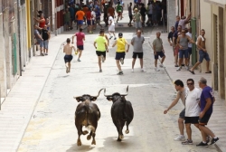 Las peñas taurinas de Silla denunciarán al alcalde tras denegar los festejos de enero