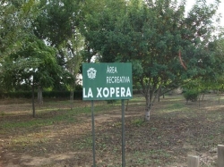 Al voltant de 90 joves estudiants participen en les activitats de repoblació en la Xopera amb motiu del dia de l’arbre en Algemesí