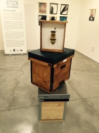 13 artistas valencianos ofrecen su visión artística sobre “Un mundo sin abejas” en el Museu de la Festa d’Algemesí