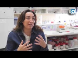 Una sustancia natural ayuda a reparar neuronas