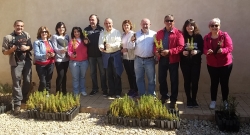 L’Alcúdia celebra el Dia de l’Arbre