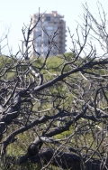 El Saler, sin cámaras de detección de incendios en uno de los años más secos