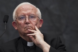 El cardenal Cañizares considera que la libertad de enseñanza «está en peligro»