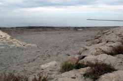 Puertos plantea a Dénia cobrar una tasa portuaria por la playa de perros