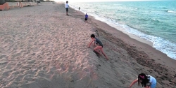 La erosión de la playa de Tavernes deja en la orilla un escalón de dos metros de altura