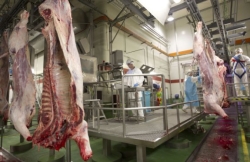 El trono de la carne queda vacante