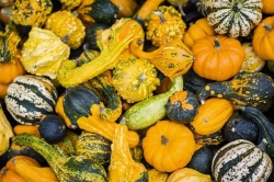 El otoño nos agota