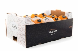 El acuerdo con la UE permite a Canadá vender naranjas con la marca Valencia Orange