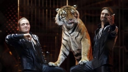 Madrid da el primer paso para prohibir los circos con animales salvajes