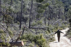 Retiran vigilancia en los montes de la Comunitat Valenciana pese al riesgo de incendios por la sequía