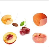 Los precios de la fruta bajan un 45% en el campo y se triplican para el consumidor