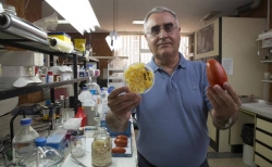 La piel de frutas y verduras convertida en envases