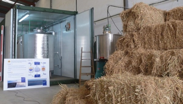 Ponen en marcha la primera planta que genera energía limpia a partir de la paja del arroz