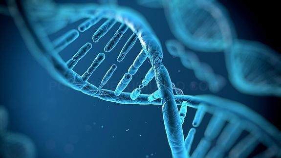 Un dispositivo valenciano permite detectar el cáncer en una hora