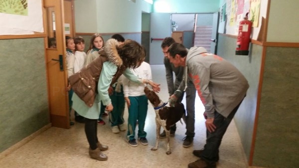 L’Ajuntament de Carlet promou una campanya de sensibilització de tinença responsable d’animals