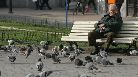 El gasto en pensiones sube un 2,9% en diciembre, hasta 8.360 millones, nueva cifra récord