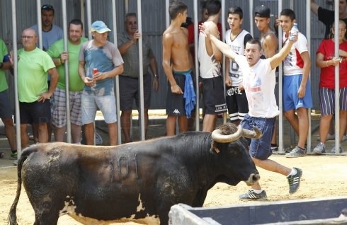 El alcalde de Silla deniega festejos de bous un mes antes de celebrar el referéndum