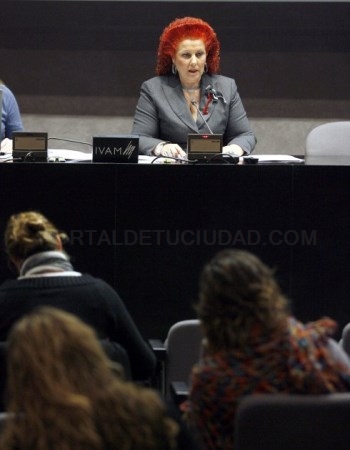 La gestión de Císcar regresa al IVAM