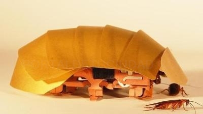 Robots inspirados en cucarachas, el futuro para los rescates