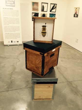 13 artistas valencianos ofrecen su visión artística sobre “Un mundo sin abejas” en el Museu de la Festa d’Algemesí