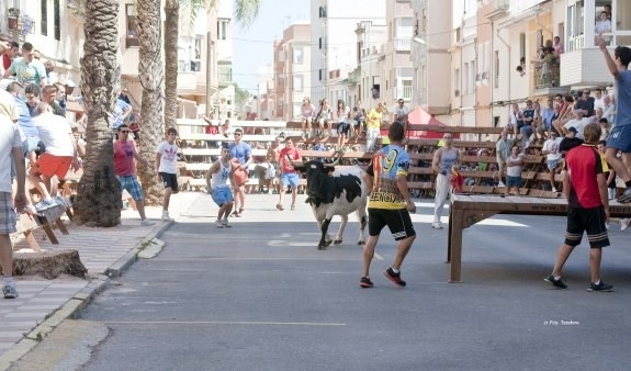 Tavernes suprime los bous al carrer y el tiro y arrastre y reduce las fiestas patronales