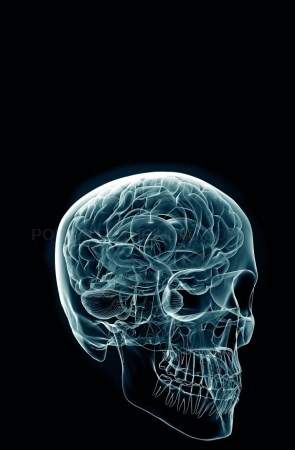 ¿Cómo envejecer con un cerebro de 20 años?